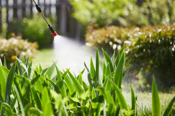 24/7 Emergency Fumigation Services experts in Newton, IA