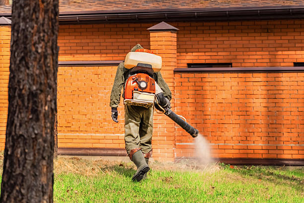 Trusted Bed Bug Control service in Newton, IA - Nex Pest Control